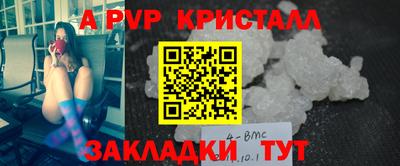 спиды Бийск