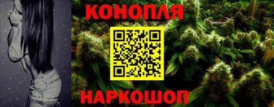 спиды Бийск