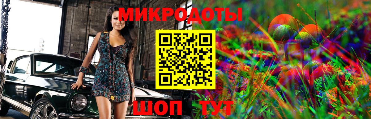 Псилоцибиновые грибы мицелий Изобильный
